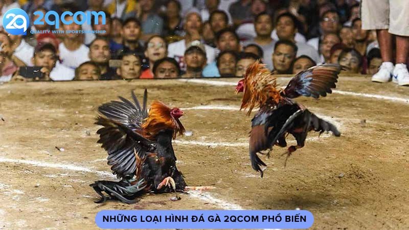 nhung-loai-hinh-da-ga-2qcom-pho-bien