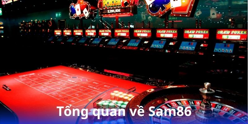tong-quan-ve-sam86